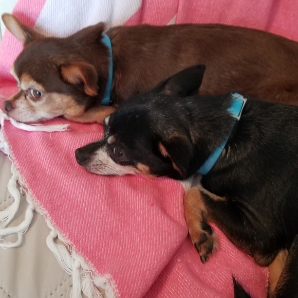 Meet your Posher, Lynn - Picture 3 of 3